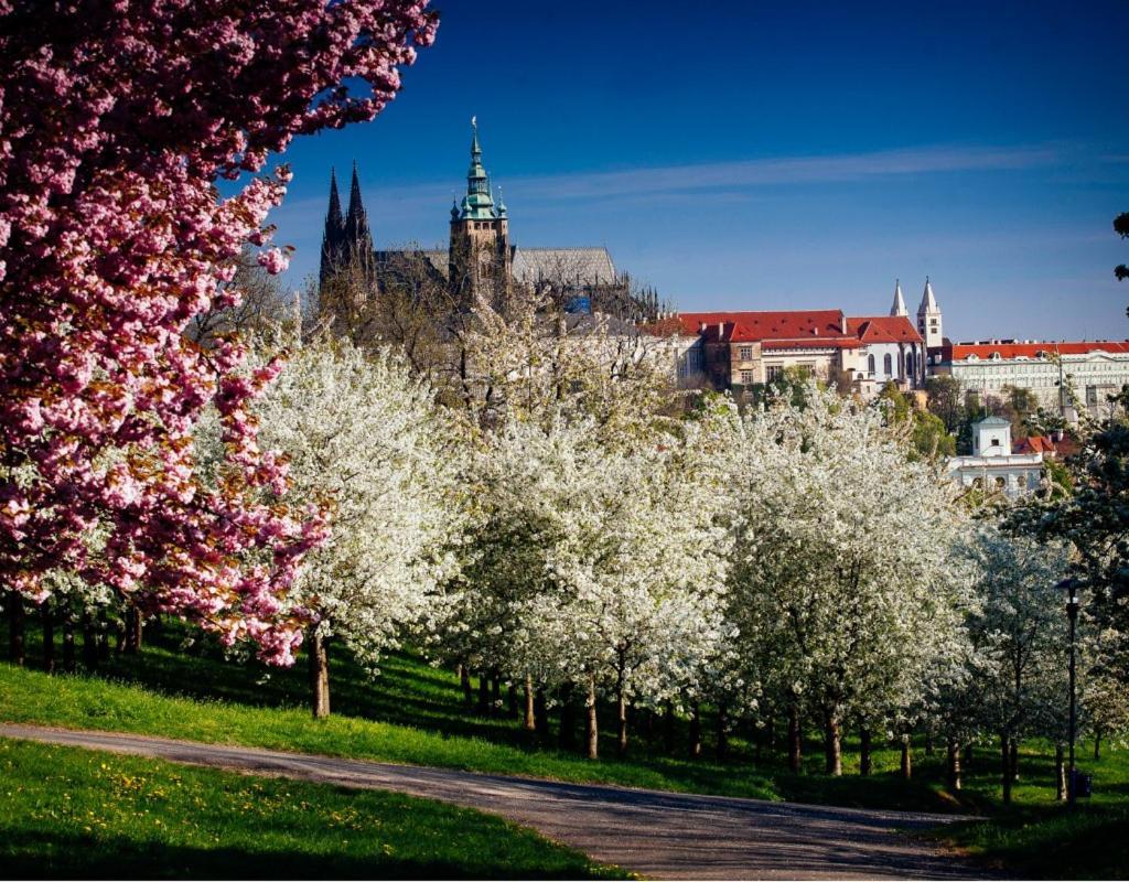 Royal Apartments Prague By Michal&Friends Dış mekan fotoğraf