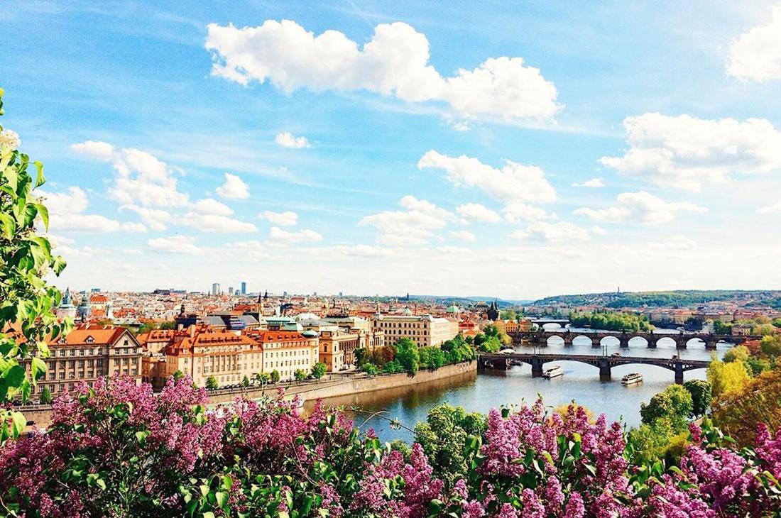 Royal Apartments Prague By Michal&Friends Dış mekan fotoğraf